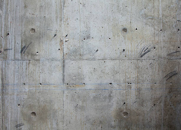 Best Custom Concrete Contractor  in Briar Chapel, NC